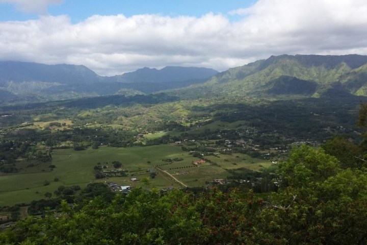 An aerial view of the Kauai greenlands